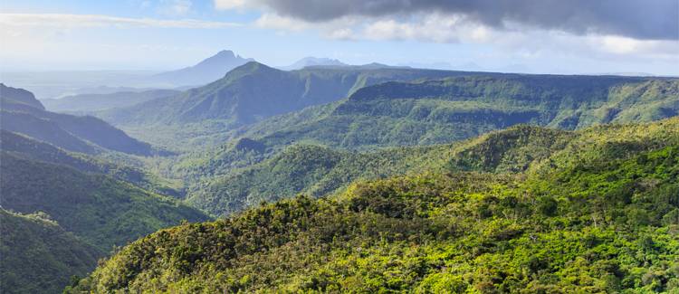 black river gorges mauritius