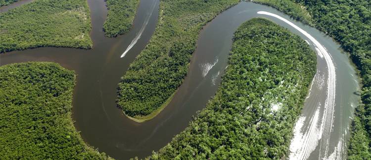 brazilia amazon