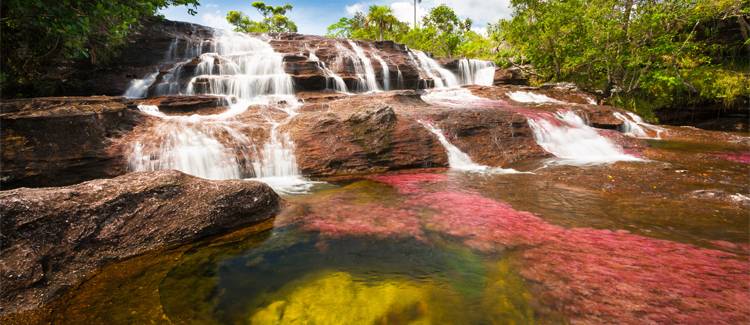 cano cristales columbia