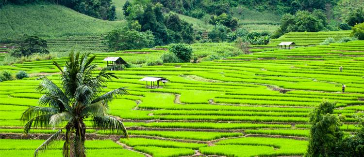 chiang mai thailanda