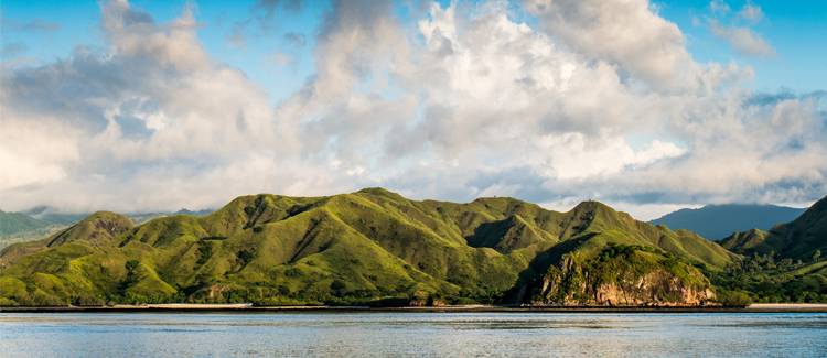 komodo indonezia