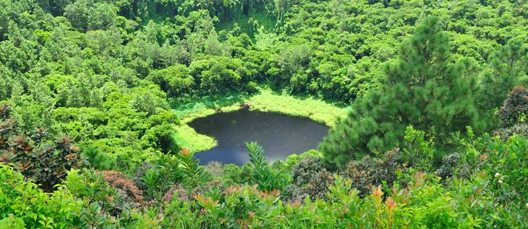 trou aux cerfs mauritius