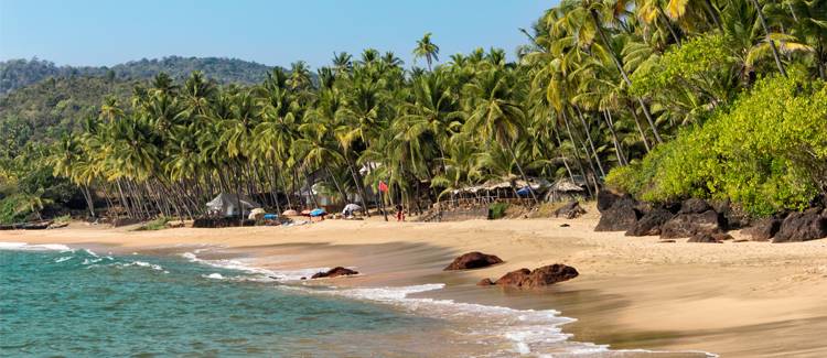 goa india