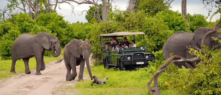 parcul national kruger africa de sud