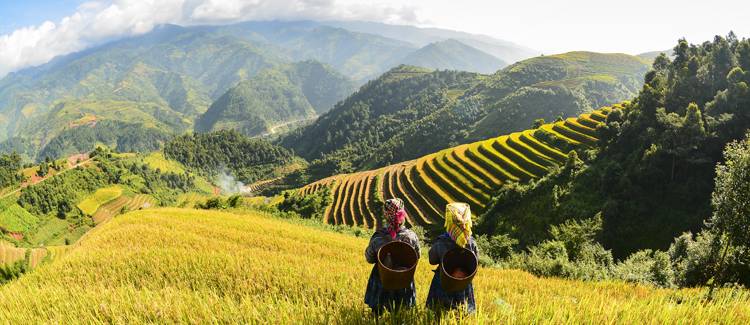 sapa vietnam