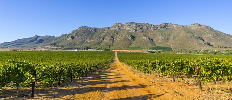 stellenbosch africa de sud