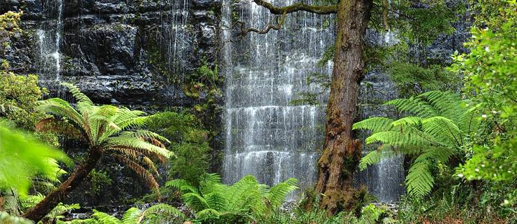 tasmania australia