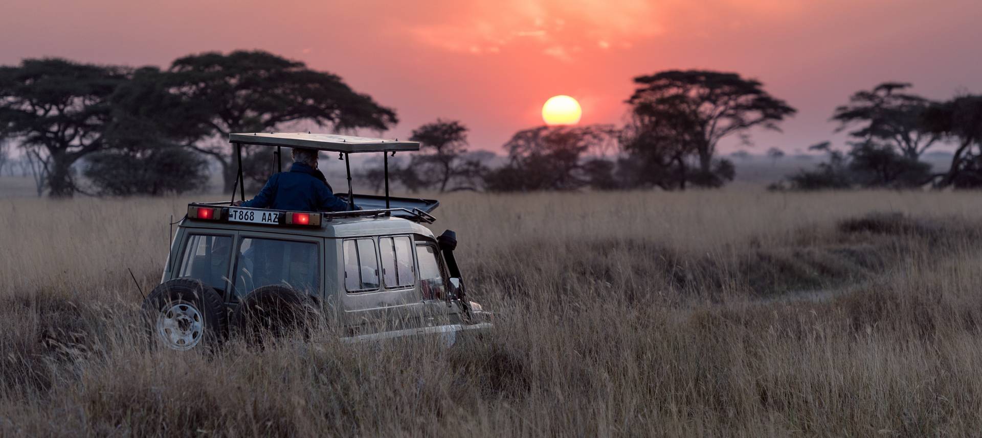 tanzania safari africa