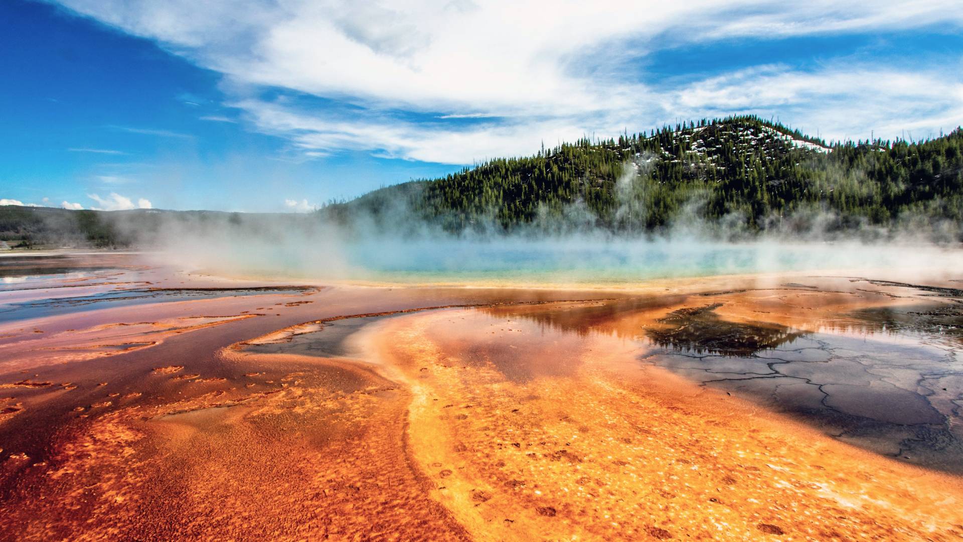 parcul national yellowstone sua