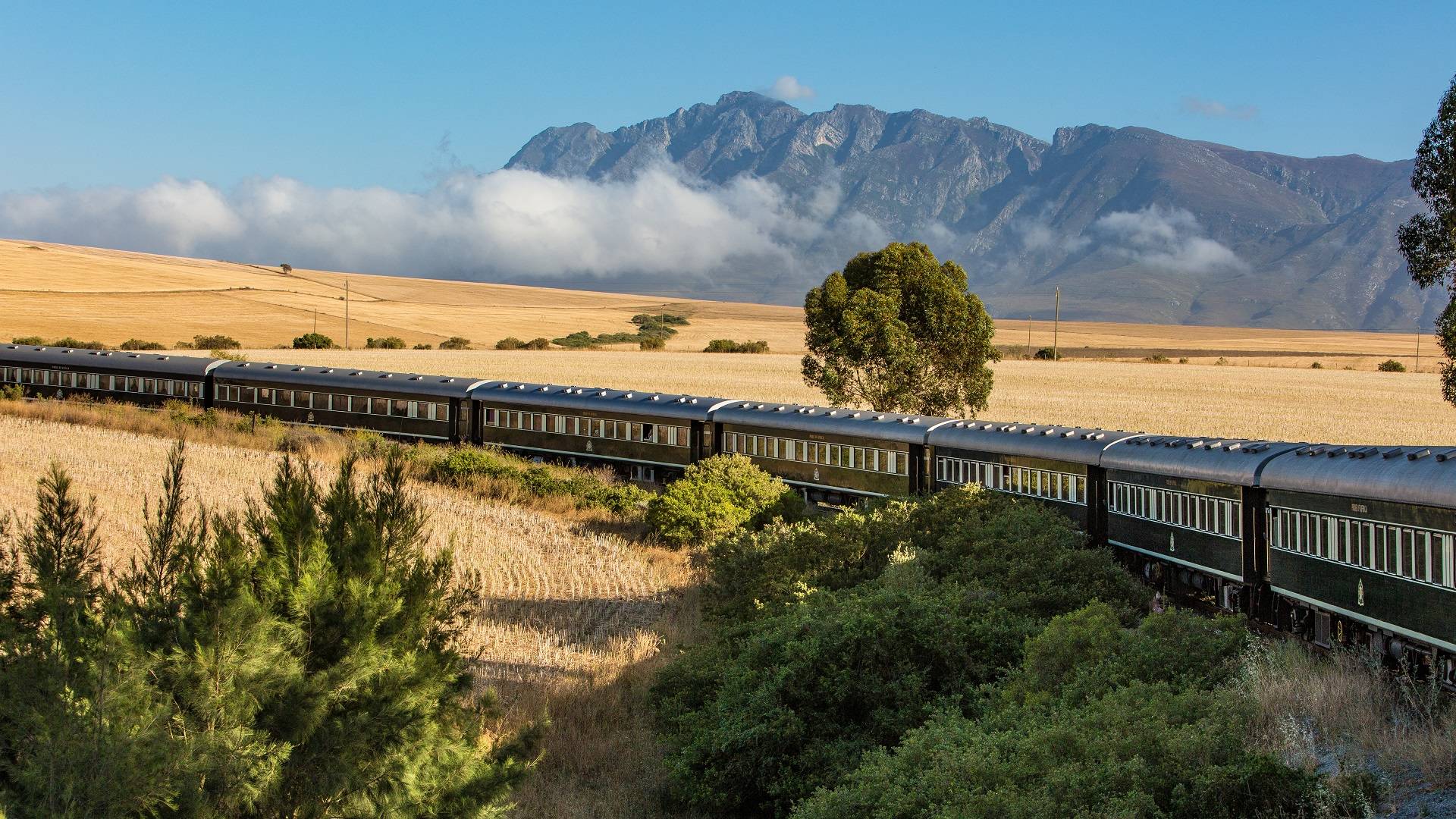 rovos rail calatorie trenul africa